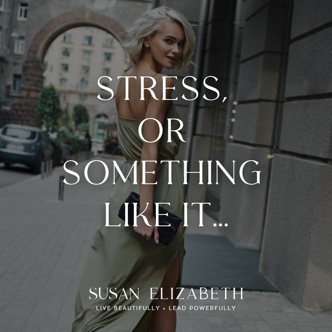 SusanElizabethCoaching - Stress, or Something Like It